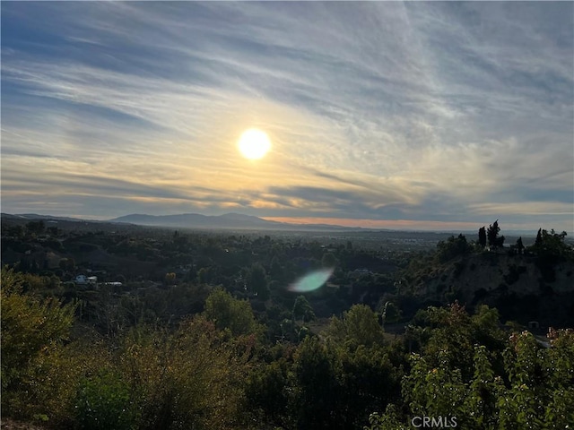 918 Dorothea Rd, La Habra Heights, CA 90631 - mountain view