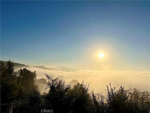 918 Dorothea Rd, La Habra Heights, CA 90631 - view of local wilderness