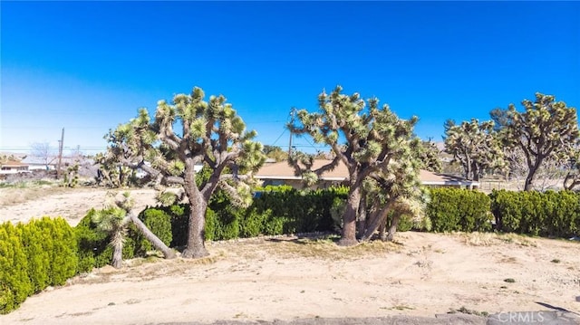 7411 Joshua Ln, Yucca Valley, CA 92284 - photo 29