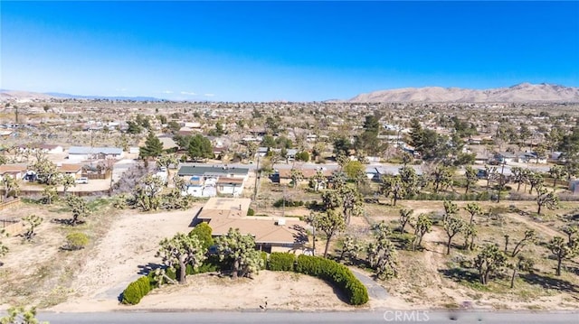 7411 Joshua Ln, Yucca Valley, CA 92284 - photo 32