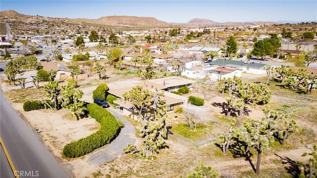 7411 Joshua Ln, Yucca Valley, CA 92284 - photo 28