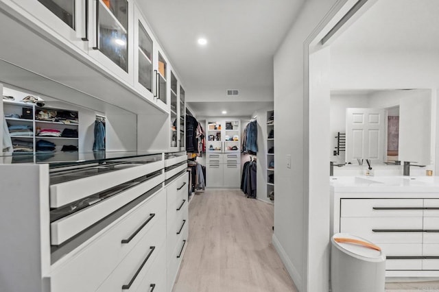 20 Lake Helix Dr, La Mesa, CA 91941 - spacious closet featuring a sink and light wood-style flooring