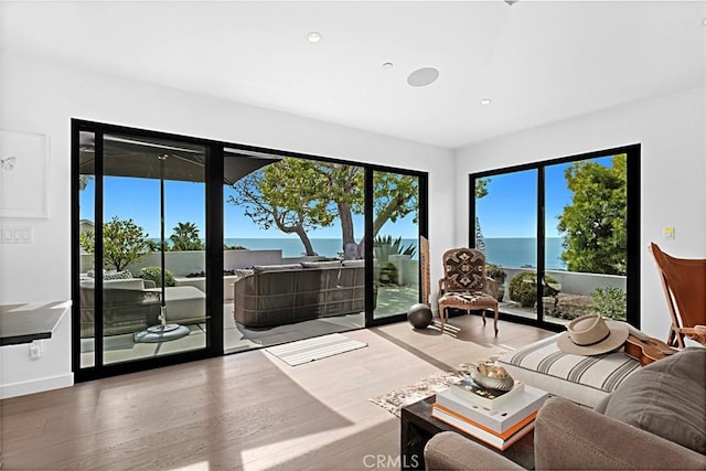 21611 Ocean Vista Dr, Laguna Beach, CA 92651 - living room featuring a water view, wood finished floors, and recessed lighting