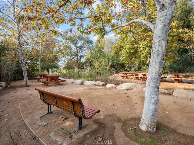 117 N Toluca St, Los Angeles, CA 90026 - view of community featuring view of scattered trees
