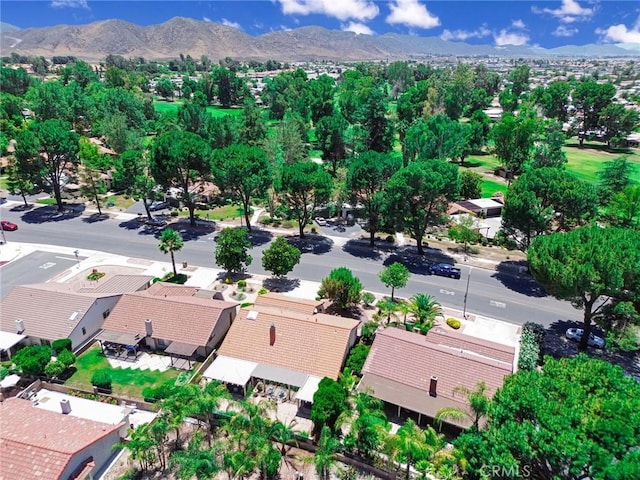 1274 Seven Hills Dr, Hemet, CA 92545 - photo 42