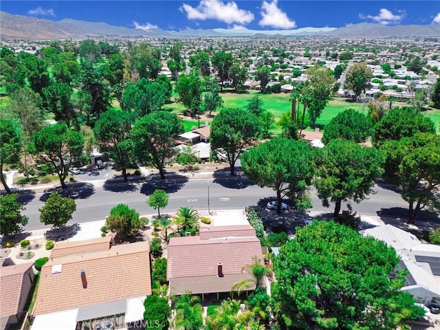 1274 Seven Hills Dr, Hemet, CA 92545 - photo 41