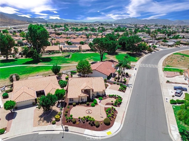 2897 Banyan Tree Ln, Hemet, CA 92545 - photo 41