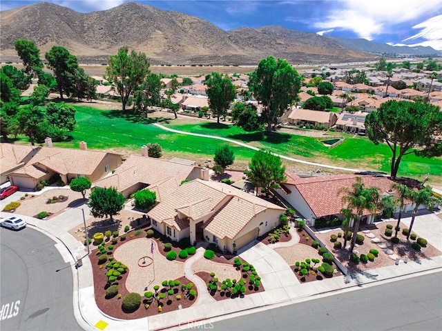 2897 Banyan Tree Ln, Hemet, CA 92545 - photo 40