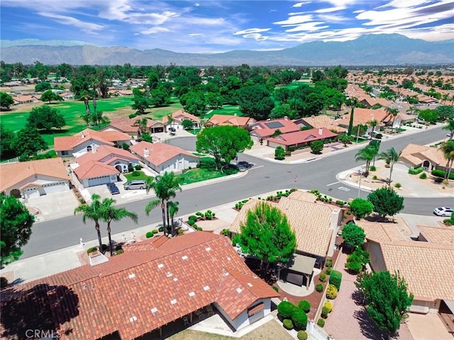 2897 Banyan Tree Ln, Hemet, CA 92545 - photo 43