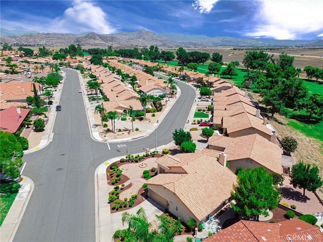 2897 Banyan Tree Ln, Hemet, CA 92545 - photo 46