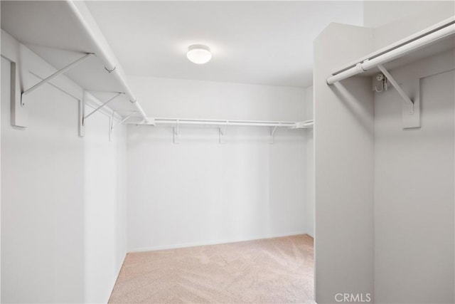 154 Fernpine Ln, Pomona, CA 91767 - walk in closet featuring carpet