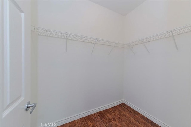 2245 Chaffee St, Fullerton, CA 92833 - walk in closet with dark wood-style floors