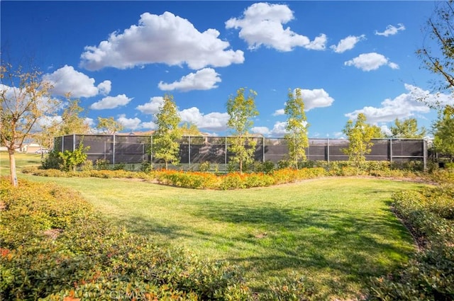 2245 Chaffee St, Fullerton, CA 92833 - view of yard