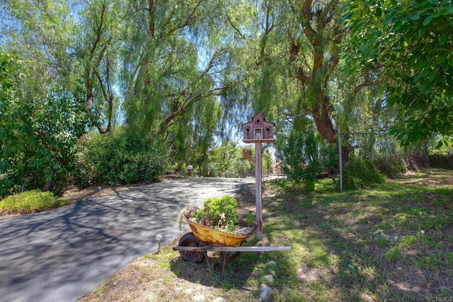 18818 Los Hermanos Ranch Rd, Valley Center, CA 92082 - photo 38