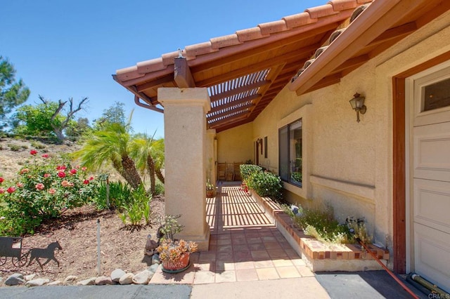 18818 Los Hermanos Ranch Rd, Valley Center, CA 92082 - photo 4