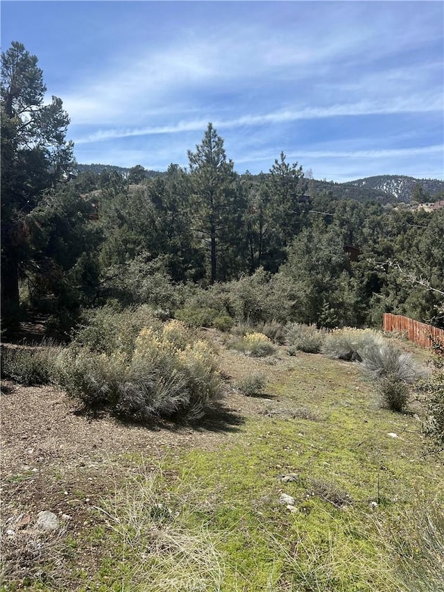 2029 Zermatt Dr, Pine Mountain Club, CA 93222 - photo 1