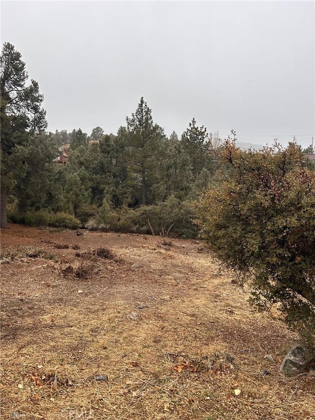 2029 Zermatt Dr, Pine Mountain Club, CA 93222 - photo 3
