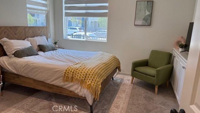 265 N Standard Ave, Santa Ana, CA 92701 - view of carpeted bedroom