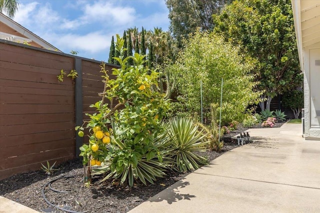 3085 Monroe St, Carlsbad, CA 92008 - photo 46