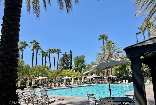 15 Ardmore, Irvine, CA 92602 - view of community pool