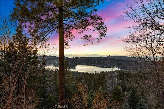 29162 Bald Eagle Rdg, Lake Arrowhead, CA 92352 - photo 38