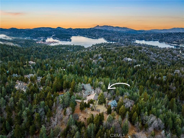 29162 Bald Eagle Rdg, Lake Arrowhead, CA 92352 - photo 65