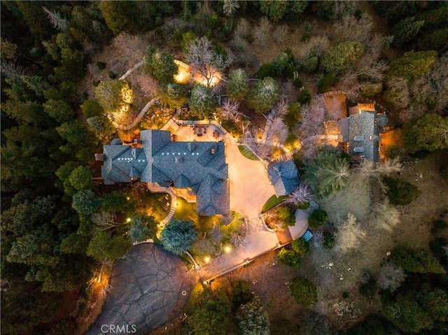 29162 Bald Eagle Rdg, Lake Arrowhead, CA 92352 - photo 67
