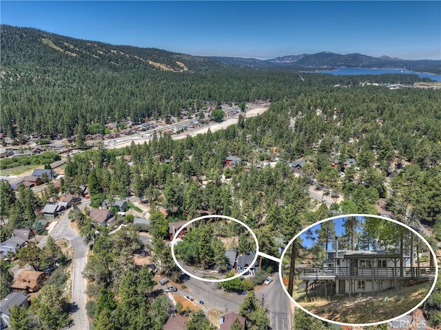 580 Lucerne Dr, Big Bear Lake, CA 92315 - photo 48