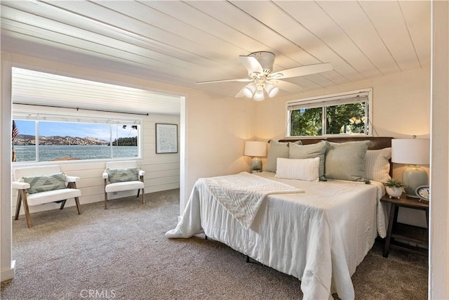 9190 Konocti Bay Rd, Kelseyville, CA 95451 - photo 11
