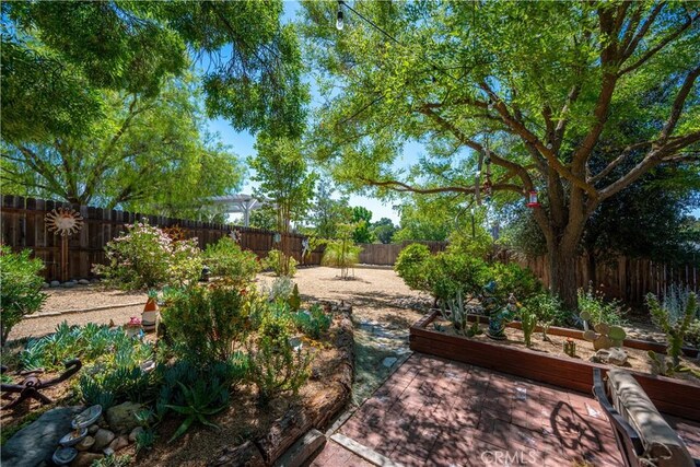 1024 Rachel Ln, Paso Robles, CA 93446 - fenced backyard featuring a vegetable garden