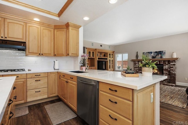 2270 Ritter Pl, Escondido, CA 92029 - kitchen with dishwasher, light brown cabinetry, under cabinet range hood, a peninsula, and dark wood-type flooring