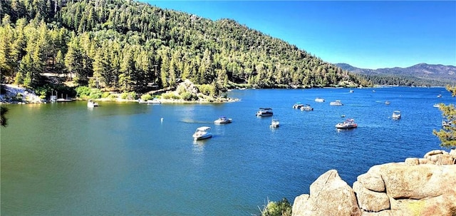 645 Booth Way, Big Bear City, CA 92314 - photo 40
