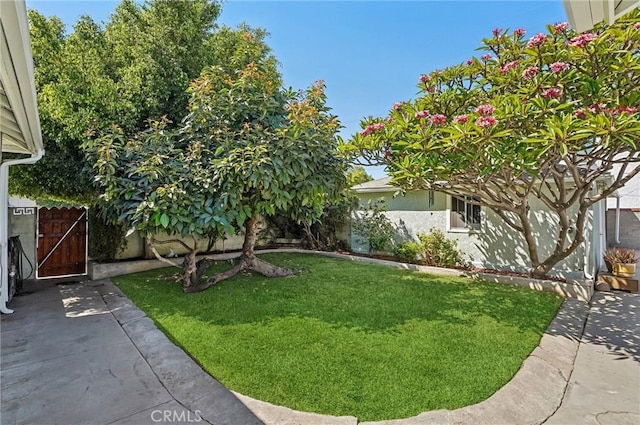 5801 Repetto Ave, East Los Angeles, CA 90022 - view of yard with a gate