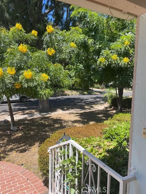 602 N Griffith Park Dr, Burbank, CA 91506 - view of yard