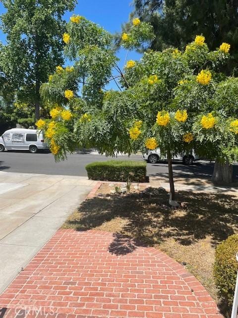 602 N Griffith Park Dr, Burbank, CA 91506 - view of property's community