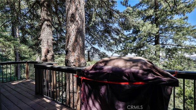 24044 Skyland Dr, Crestline, CA 92325 - photo 17