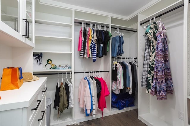 7141/2 Iris Ave, Newport Beach, CA 92625 - walk in closet with dark wood finished floors