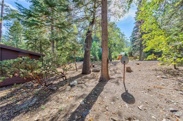 37751 Foxfield Rd, Angelus Oaks, CA 92305 - photo 32