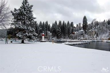 27657 Peninsula Dr, Lake Arrowhead, CA 92352 - view of community