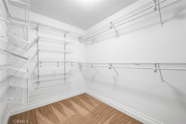464 Appleby St, Corona, CA 92881 - walk in closet featuring carpet flooring