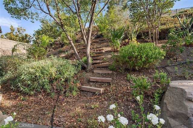 464 Appleby St, Corona, CA 92881 - view of yard