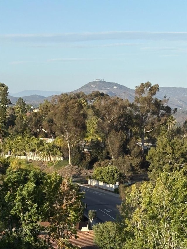 1866 Forestdale Dr, Encinitas, CA 92024 - view of mountain backdrop