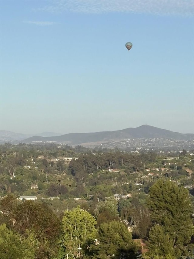 1866 Forestdale Dr, Encinitas, CA 92024 - view of mountain background