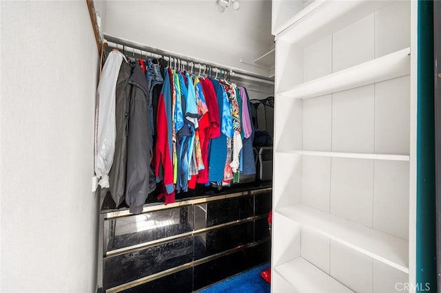 12555 Euclid St Unit 2, Garden Grove, CA 92840 - view of spacious closet