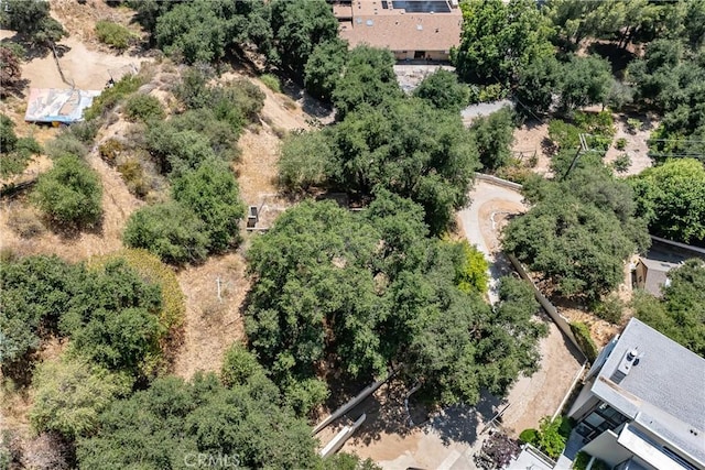 3577 Shaw Ranch Rd, Pasadena, CA 91107 - photo 13