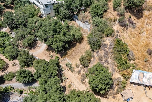 3577 Shaw Ranch Rd, Pasadena, CA 91107 - photo 9