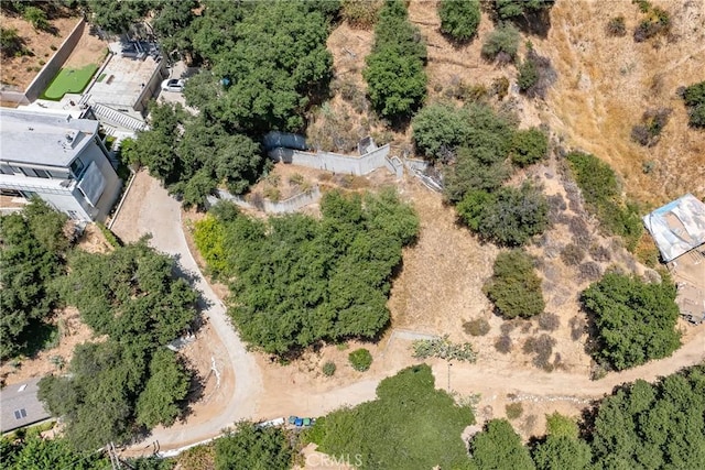 3577 Shaw Ranch Rd, Pasadena, CA 91107 - photo 8