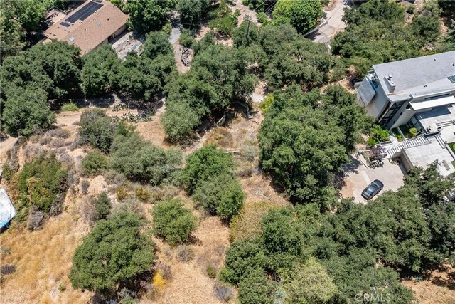 3577 Shaw Ranch Rd, Pasadena, CA 91107 - photo 12