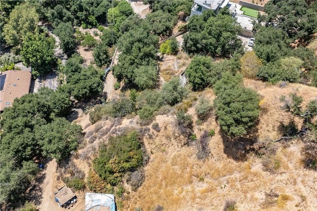 3577 Shaw Ranch Rd, Pasadena, CA 91107 - photo 11