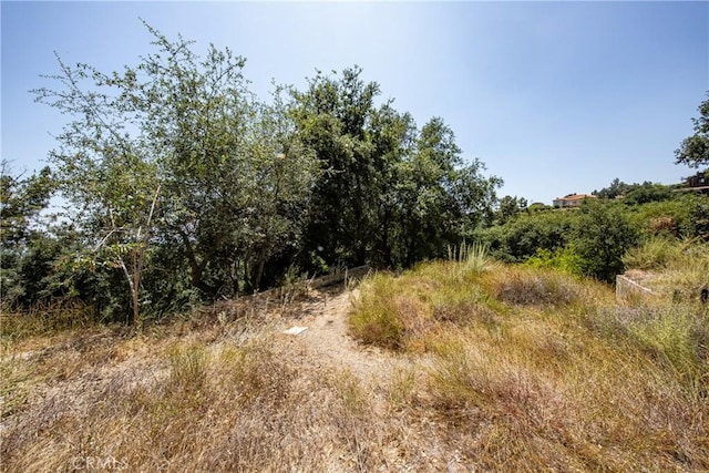 3577 Shaw Ranch Rd, Pasadena, CA 91107 - photo 4